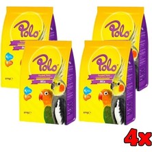 Polo Paraket Sultan Cennet Papağanı Yemi 400 gr x 4 Adet