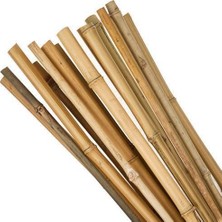 Nettenevime Bambu Sopası 120 cm 18-20MM Bambu Çubuğu 5 Adet