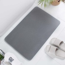 Diatomit Süper Emici Hijyenik Paspas - Diatom Mucizesi