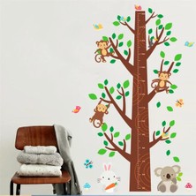 Cosy Home Gift Bebek ve Çocuk Boy Ölçer Grafik Boy Ölçüm Tablosu Çocuk Odası Yeşil Ağaç Sticker Pvc Duvar Süsü