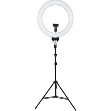 Riolink 18 inch102W 480 LED Ring Light