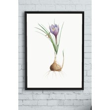Postermanya Soğan Mutfak Çerçeveli Tablo  21 x 30 cm