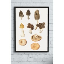 Postermanya Mantarlar Mutfak Çerçeveli Tablo  21 x 30 cm