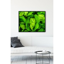 Postermanya Roka Yaprakları Mutfak Çerçeveli Tablo  21 x 30 cm