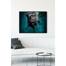 Postermanya Yüzen Köpek Eğlenceli Mizahi Çerçeveli Tablo  21 x 30 cm