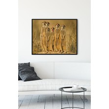 Postermanya Mirketler Eğlenceli Mizahi Çerçeveli Tablo  21 x 30 cm
