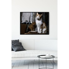 Postermanya Kedi Hayvan Çerçeveli Tablo 6  21 x 30 cm