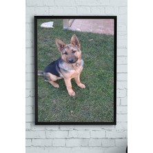 Postermanya Kurt Köpeği Hayvan Çerçeveli Tablo 2  21 x 30 cm