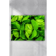 Postermanya Roka Yaprakları Mutfak Poster  40 x 60 cm