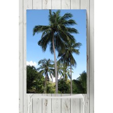 Postermanya Tayland Manzara Posteri  40 x 60 cm
