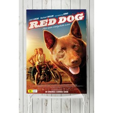 Postermanya Red Dog Hayvan Posteri  40 x 60 cm
