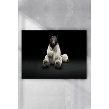 Postermanya Kutup Ayısı Eğlenceli Mizahi Poster  40 x 60 cm