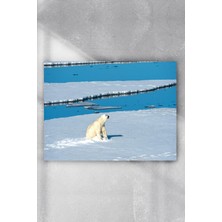 Postermanya Kutup Ayısı Hayvan Poster  40 x 60 cm