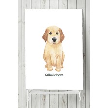 Postermanya Golden Retriever Çocuk Odası Poster  40 x 60 cm