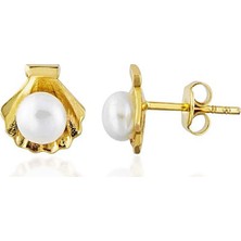 Sembol Gold Istiridye Incili Altın Küpe Çivili 14K Gold