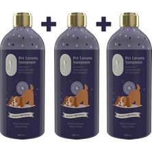 Gallipoli Lavender Lavanta Yağlı Pet Şampuanı 400 ml x 3 adet