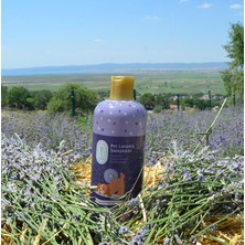 Gallipoli Lavender Lavanta Yağlı Pet Şampuanı 400 ml x 3 adet