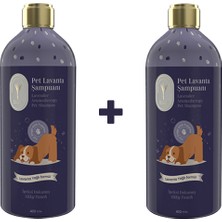 Gallipoli Lavender Lavanta Yağlı Pet Şampuanı 400 ml x 2 Adet