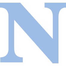 Festivall Karton Harf Banner Mavi N