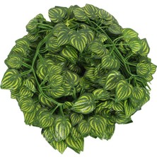 Nettenevime Yapay Çiçek Sarmaşık 12 Li Paket 230 cm