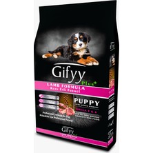 Gifyy Kuzu Etli Premium Yavru Köpek Maması 15 kg