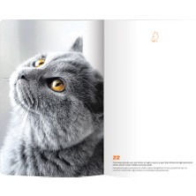 Le Color Cat Lover Esnek Kapak Defter 144 Sayfa 10,5 x 18,58 cm