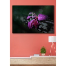 Hediyeler Kapında 50X70 Mor Dekoratif Kanvas Tablo