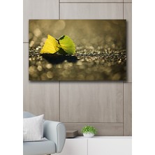 Hediyeler Kapında 50X70 Yağmur Kanvas Duvar Tablo