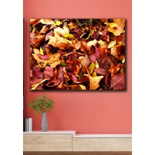 Hediyeler Kapında 50X70 Kuru Yapraklar Kanvas Duvar Tablo