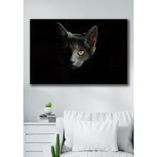 Hediyeler Kapında 50X70 Asil Kedi Kanvas Duvar Tablo