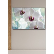 Hediyeler Kapında 50X70 Çiçek Cenneti Kanvas Duvar Tablo