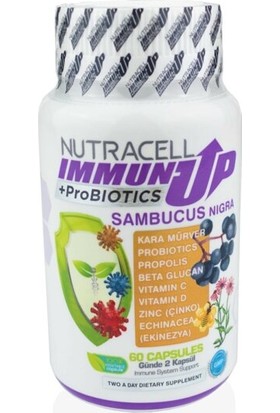 Nutracell Immunup Sambucus Nigra + Probiyotik 60 Kapsül