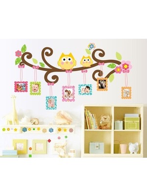 Kt Decoration  Bebek Odası Renkli Resim Çerçeveli Baykuşlar Kendinden Yapışkanlı Duvar Sticker