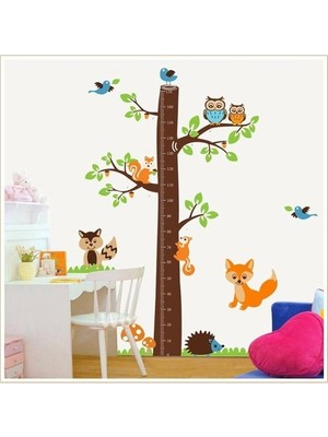 Kt Decoration Çocuk Odası Dekoru Boy ve Gelişim Ölçer Büyük Boy Ağaç Sincap ve Baykuşlar Pvc Duvar Sticker