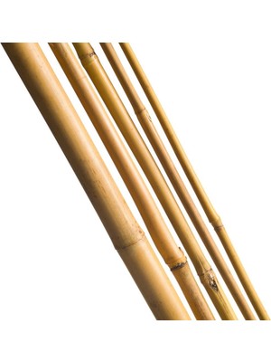 Nettenevime Bambu Sopası 120 cm 18-20MM Bambu Çubuğu 5 Adet