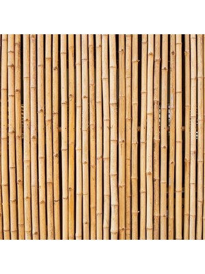 Nettenevime Bambu Sopası 120 cm 18-20MM Bambu Çubuğu 5 Adet