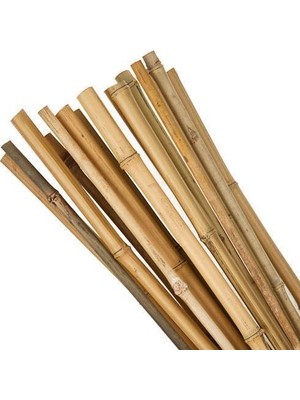 Nettenevime Bambu Sopası 240 cm 18-20MM Bambu Çubuğu 5 Adet