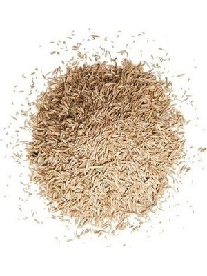 Plantistanbul 4m Gold %30 Su Tasarruflu Çim Tohumu 1 Kg