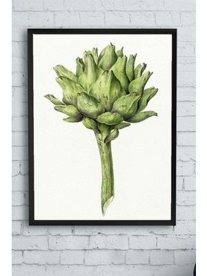 Postermanya Enginar Mutfak Çerçeveli Tablo  21 x 30 cm