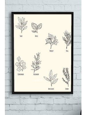 Postermanya Otlar Vintage Mutfak Çerçeveli Tablo  21 x 30 cm