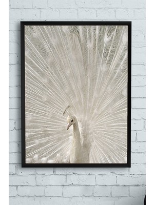 Postermanya Tavus Kuşu Hayvan Çerçeveli Tablo  21 x 30 cm