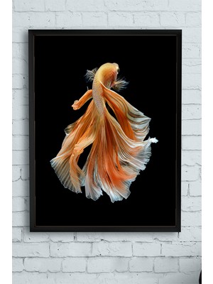 Postermanya Sanatsal Balık Hayvan Çerçeveli Tablo 2  21 x 30 cm