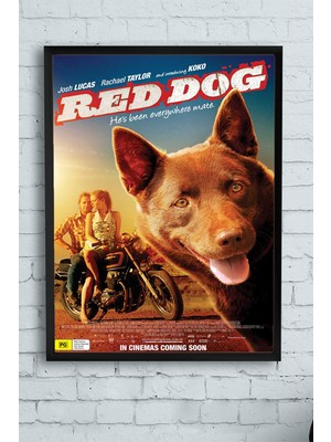 Postermanya Red Dog Hayvan Çerçeveli Tablo  21 x 30 cm