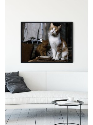 Postermanya Kedi Hayvan Çerçeveli Tablo 6  21 x 30 cm