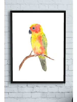 Postermanya Sanatsal Papağan Hayvan Çerçeveli Tablo  21 x 30 cm