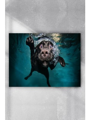 Postermanya Yüzen Köpek Eğlenceli Mizahi Poster  40 x 60 cm