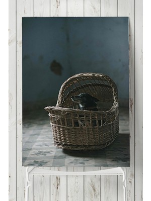 Postermanya Köpek Hayvan Poster  40 x 60 cm