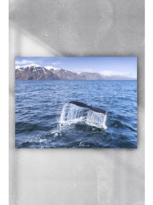 Postermanya İzlanda Balina Manzara Poster  40 x 60 cm
