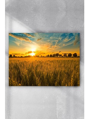 Postermanya Günbatımı Manzara Poster  40 x 60 cm