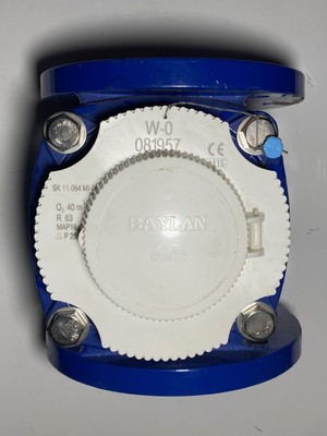 Baylan Tarımsal Su Sayacı Rekorlu  1/2"